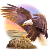 American Eagle TikTok gift icon