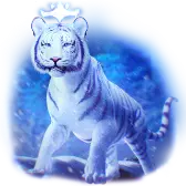 Amethyst Tiger TikTok gift icon