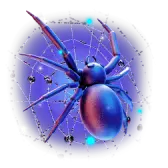 Spider TikTok gift icon